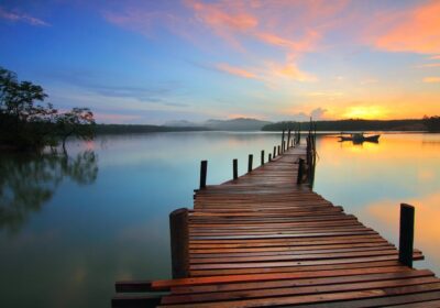 Vestibulum vel est quis odio venenatis