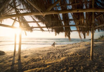 Lorem ipsum dolor amet